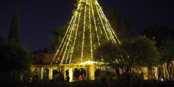 Festa Natale SOB 181213 205